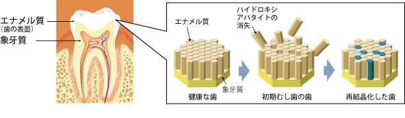 図2