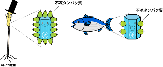 イラスト1